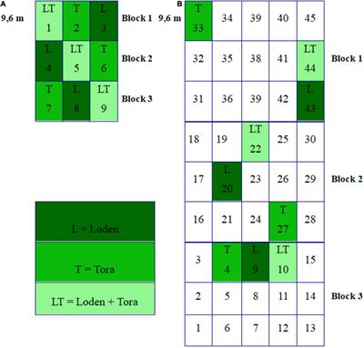 The Effects of Host Plant Genotype and Environmental Conditions on Fungal Community Composition and Phosphorus Solubilization in Willow Short Rotation Coppice